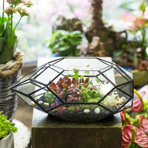 Handmade 11" Height Long Irregular Oval Geometric Glass Terrarium Lantern for Fern Moss Succulents - ncypgarden.uk