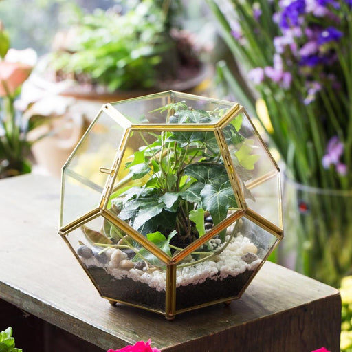 Handmade Copper Pentagon Glass Geometric Terrarium with Feet and Door for Succulent Moss Air Plant - ncypgarden.uk