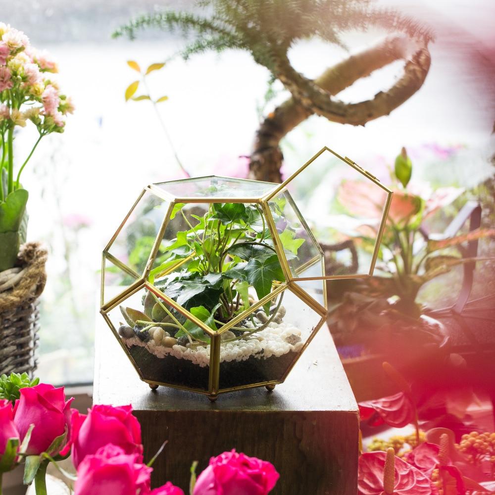 Handmade Copper Pentagon Glass Geometric Terrarium with Feet and Door for Succulent Moss Air Plant - ncypgarden.uk