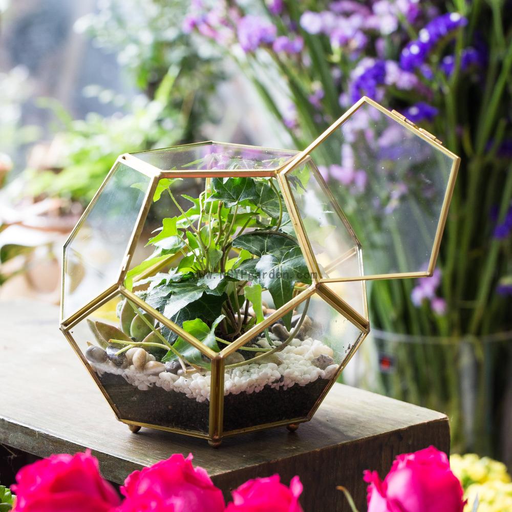 Handmade Copper Pentagon Glass Geometric Terrarium with Feet and Door for Succulent Moss Air Plant - ncypgarden.uk