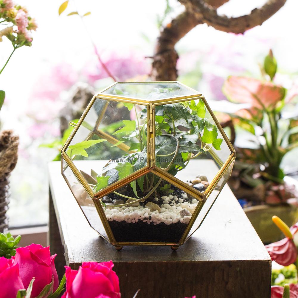 Handmade Copper Pentagon Glass Geometric Terrarium with Feet and Door for Succulent Moss Air Plant - ncypgarden.uk