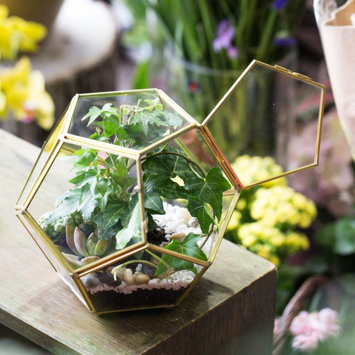 Handmade Copper Pentagon Glass Geometric Terrarium with Feet and Door for Succulent Moss Air Plant - ncypgarden.uk