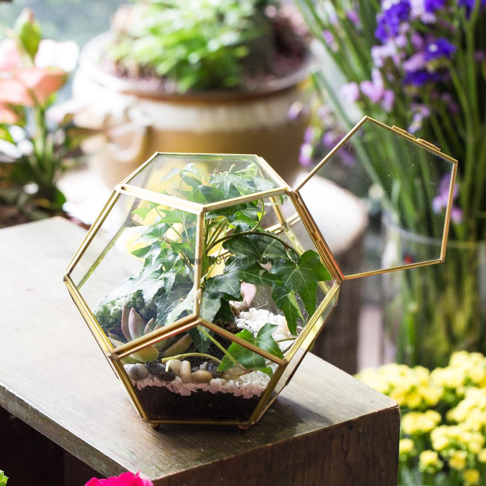 Handmade Copper Pentagon Glass Geometric Terrarium with Feet and Door for Succulent Moss Air Plant - ncypgarden.uk