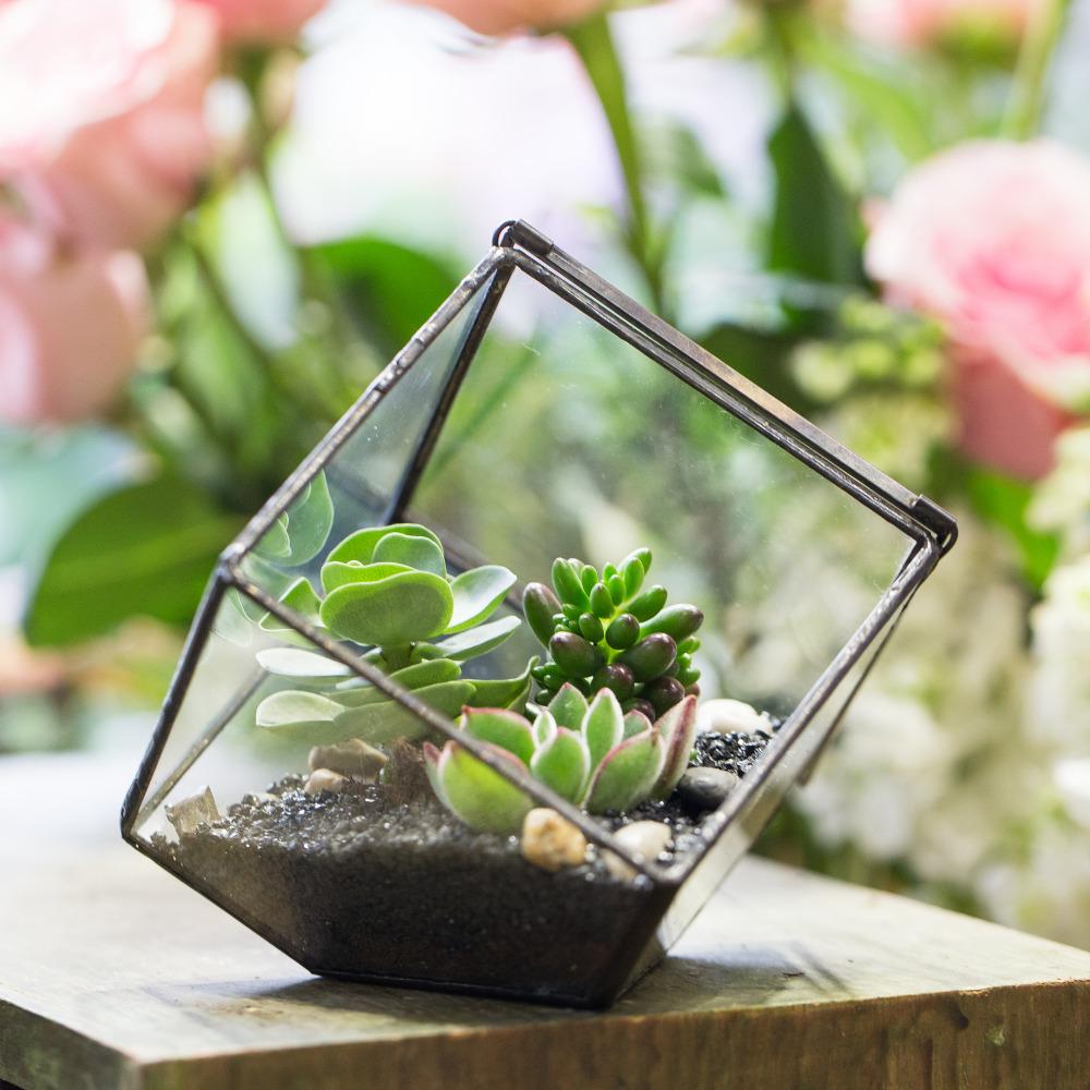 Handmade Inclined Cube Glass Geometric Terrarium Box Various Size Door Available for Succulent Moss - ncypgarden.uk