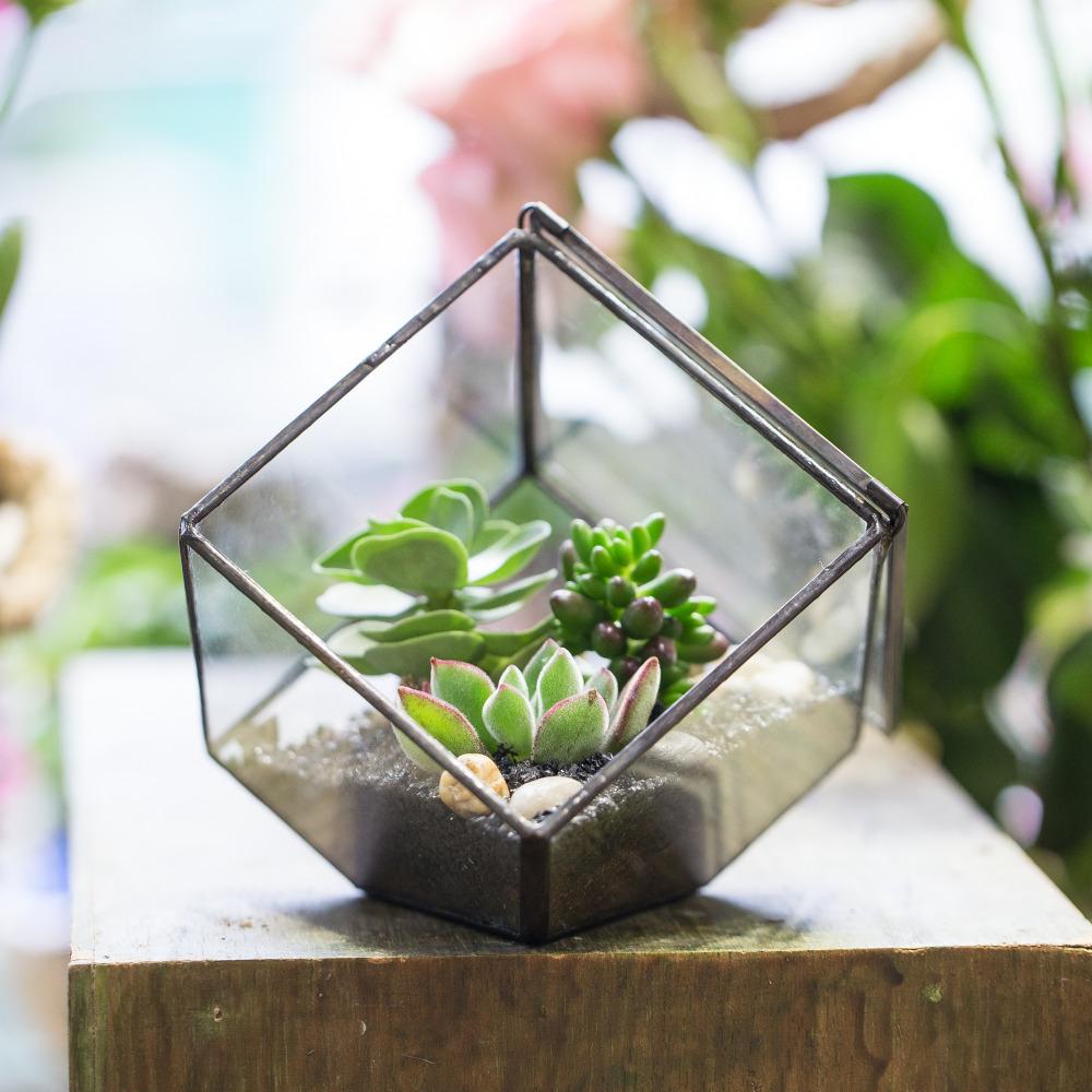 Handmade Inclined Cube Glass Geometric Terrarium Box Various Size Door Available for Succulent Moss - ncypgarden.uk