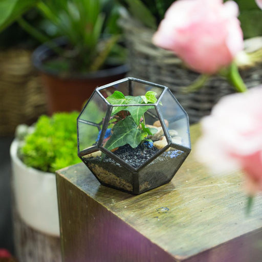 Handmade Mini Black Pentagon Glass Geometric Terrarium for Ring Box Moss - ncypgarden.uk