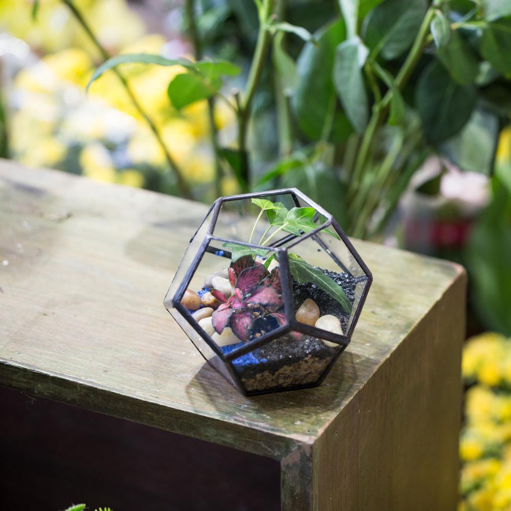 Handmade Mini Black Pentagon Glass Geometric Terrarium for Ring Box Moss - ncypgarden.uk