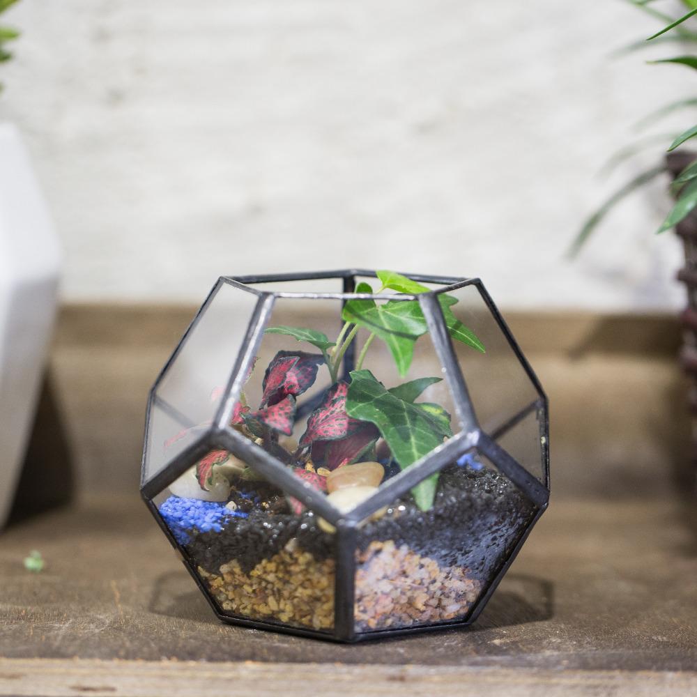 Handmade Mini Black Pentagon Glass Geometric Terrarium for Ring Box Moss - ncypgarden.uk