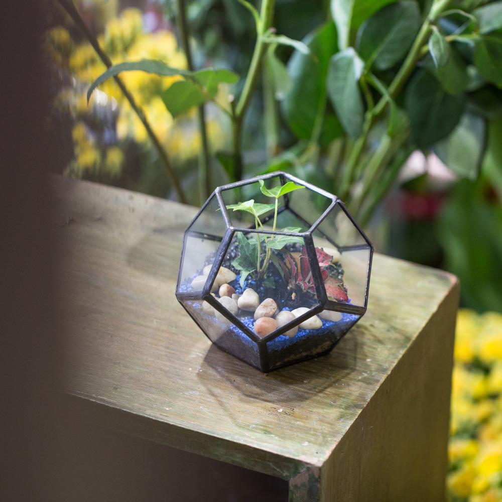 Handmade Mini Black Pentagon Glass Geometric Terrarium for Ring Box Moss - ncypgarden.uk