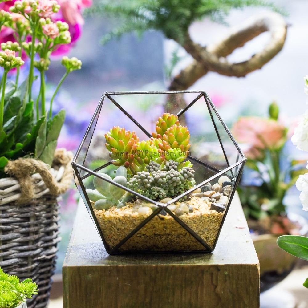 Handmade Bowl Shape Geometric Glass Terrarium for Garden Plants Succulents Moss Airplants - ncypgarden.uk