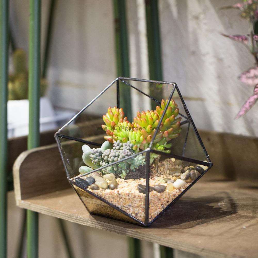 Handmade Bowl Shape Geometric Glass Terrarium for Garden Plants Succulents Moss Airplants - ncypgarden.uk