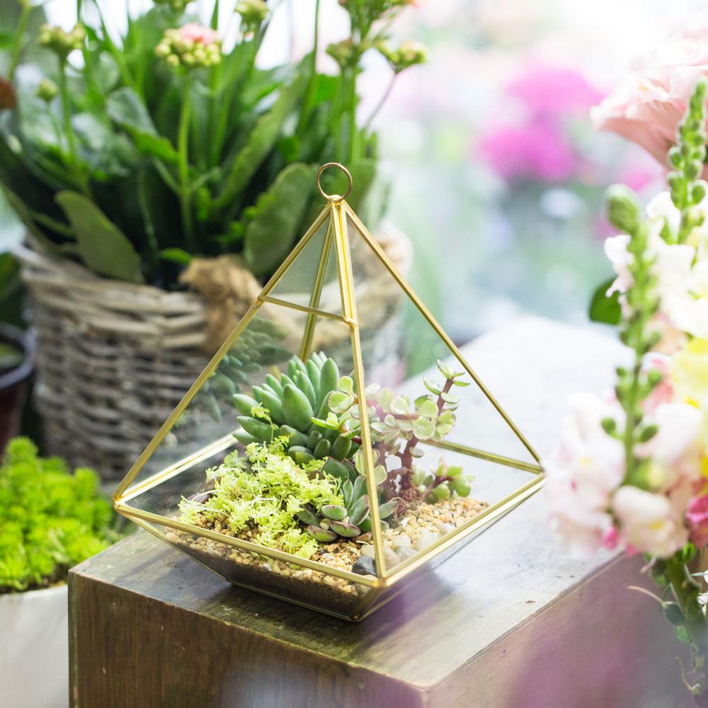 Handmade Gold Hanging Glass Geometric Terrarium Planter for Succulent Wedding Decoration - ncypgarden.uk