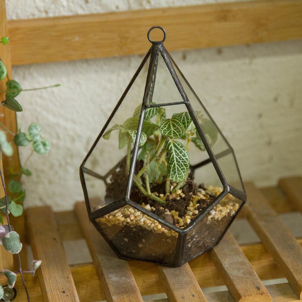 Handmade Small Teardrop Hanging Clear Glass Geometric Terrarium for Succulent Fern Airplants - ncypgarden.uk