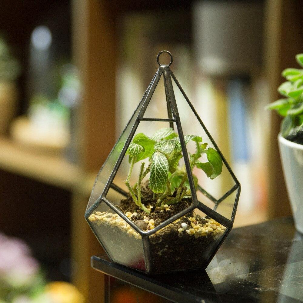 Handmade Small Teardrop Hanging Clear Glass Geometric Terrarium for Succulent Fern Airplants - ncypgarden.uk