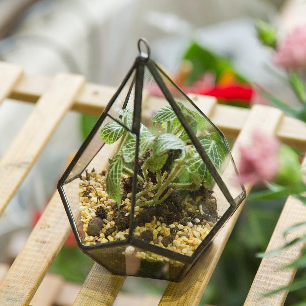 Handmade Small Teardrop Hanging Clear Glass Geometric Terrarium for Succulent Fern Airplants - ncypgarden.uk