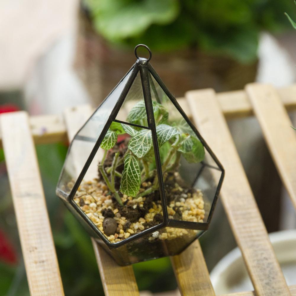 Handmade Small Teardrop Hanging Clear Glass Geometric Terrarium for Succulent Fern Airplants - ncypgarden.uk