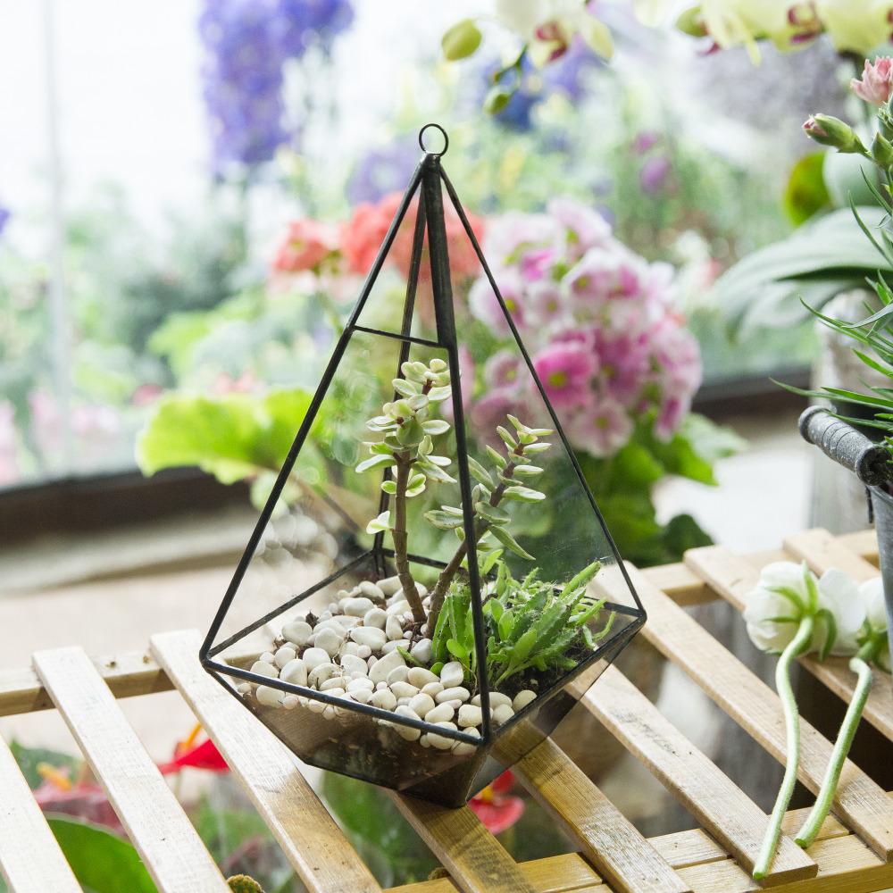 Handmade Glass Geometric Terrarium Indoor Outdoor Planter Landscape Wall Pyramid for Succulents - ncypgarden.uk