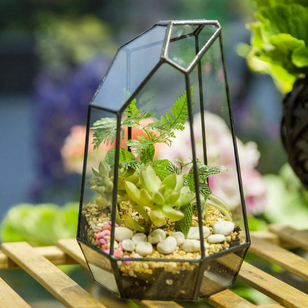 Handmade Irregular Tall Black Glass Geometric Terrarium Various Size for Succulents Moss Airplants - ncypgarden.uk