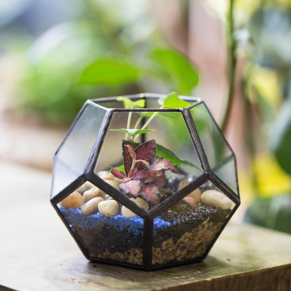 Handmade Mini Black Pentagon Glass Geometric Terrarium for Ring Box Moss - ncypgarden.uk