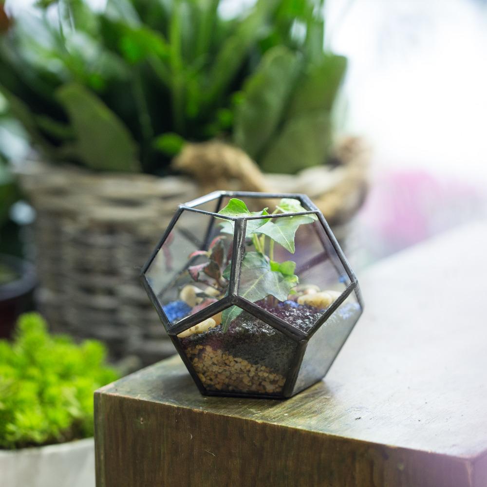 Handmade Mini Black Pentagon Glass Geometric Terrarium for Ring Box Moss - ncypgarden.uk