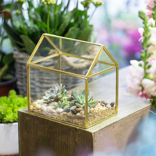 Handmade Black Gold Glass Box Geometric Terrarium with Lid for Planter Container Storage Case Gift - ncypgarden.uk