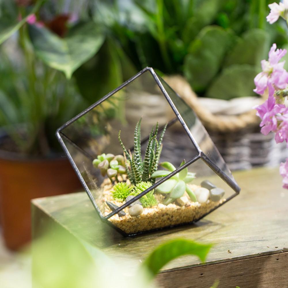 Handmade 10cm Inclined Cube Vase Glass Geometric Terrarium Tabletop Flowerpot for Garden Succulents - ncypgarden.uk