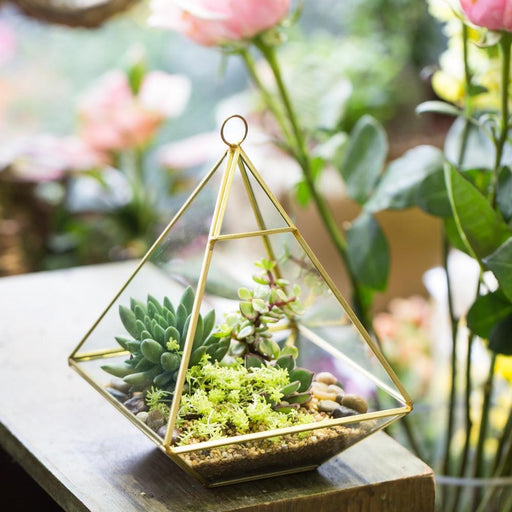 Handmade Gold Hanging Glass Geometric Terrarium Planter for Succulent Wedding Decoration - ncypgarden.uk