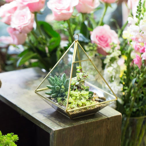 Handmade Gold Hanging Glass Geometric Terrarium Planter for Succulent Wedding Decoration - ncypgarden.uk