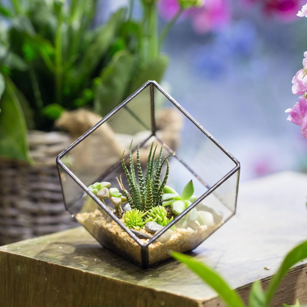 Handmade 10cm Inclined Cube Vase Glass Geometric Terrarium Tabletop Flowerpot for Garden Succulents - ncypgarden.uk