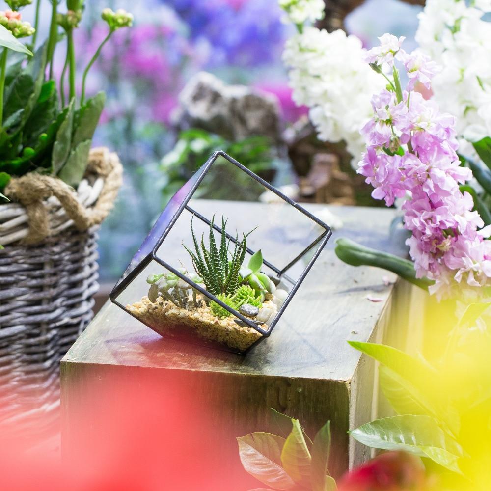 Handmade 10cm Inclined Cube Vase Glass Geometric Terrarium Tabletop Flowerpot for Garden Succulents - ncypgarden.uk