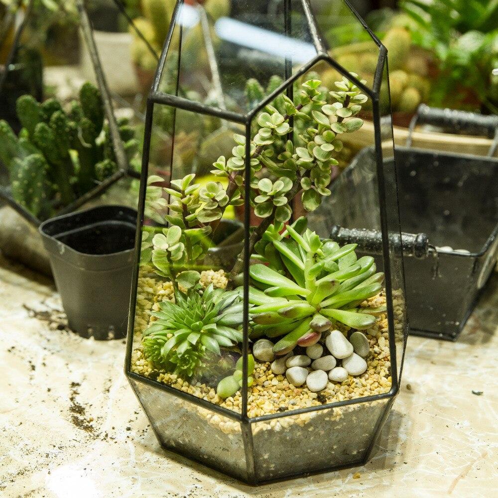 Handmade 25cm Irregular Tall Open Glass Geometric Terrarium Container for Succulents Wedding - ncypgarden.uk